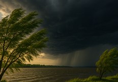 Силен вятър ще духа в Дунавската равнинаПрез следващите дни българите