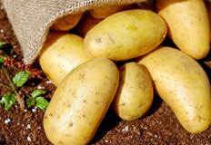 Максималното подпомагане достига 1200 лева на хектарУправителният съвет на Държавен