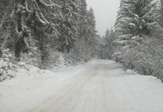 Пътните екипи работят по обработката на пътищата в областта където