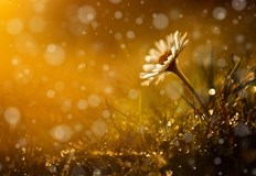 По сериозно влошаване на времето се очаква в периода 4 8 майПоследните