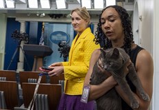 Четириног нарушител в залата за пресконференцииКотка успя да проникне в