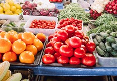 Министерството на земеделието отчита подобрение във всички сектори на растениевъдствотоСпоред