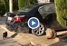 Младеж е пострадал при инцидентаТежка катастрофа е станала в Кричим