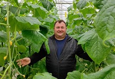 Иван Кабуров Българският пазар зависи от нерегламентирания внос а не