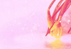 Температурите падат под нулатаПролетта временно отстъпва място на зимни условия