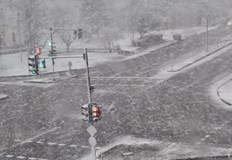 Паднали дървета блокираха входа на Кубрат властите предупреждават шофьорите за