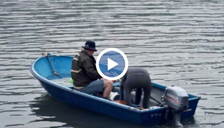 Спасената риба от видовете шаран, сом и щука беше върната във водоема