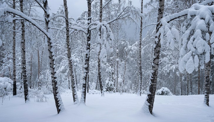Метеоролозите предупреждават за силен вятър и ниски температури