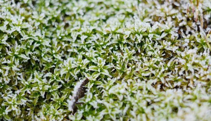 Важно предупреждение за земеделците Важно предупреждение за земеделците
