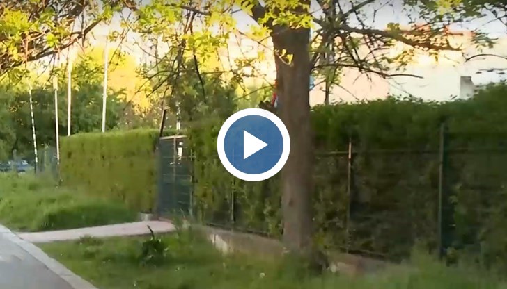 54-годишният извършител с криминално минало е задържан за 24 часа