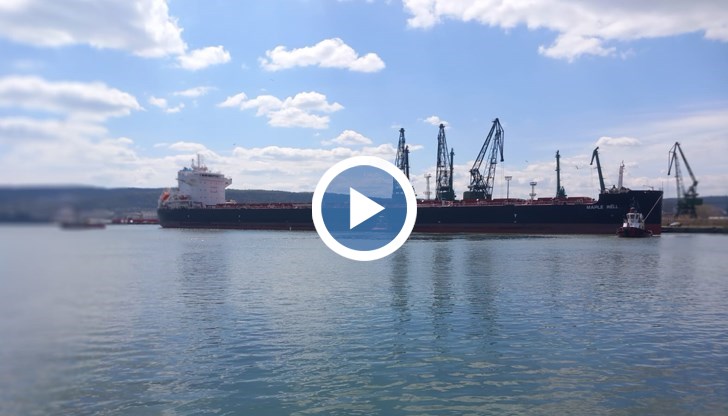 Плавателният съд с дължина 229 метра превозва 58 000 тона рапица.