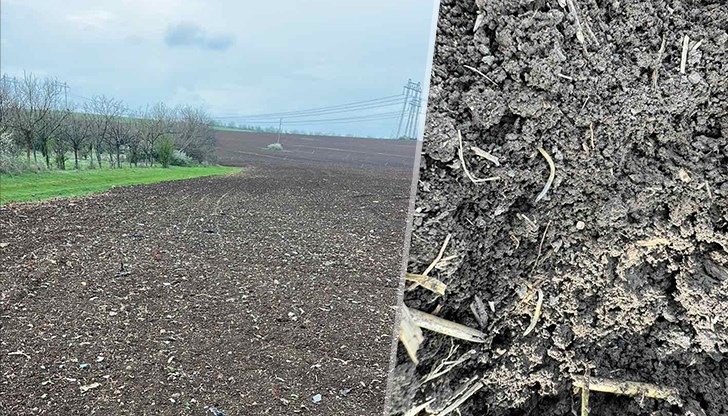 Експерти от БАИЗ препоръчват биологични методи за защита на културите