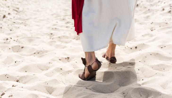 Експерти разкриват изненадващи теории