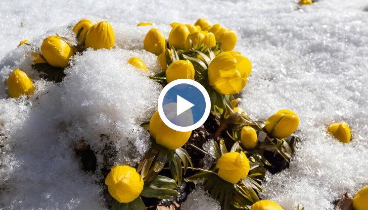 Необичайни снеговалежи за април, рязък спад на температурите