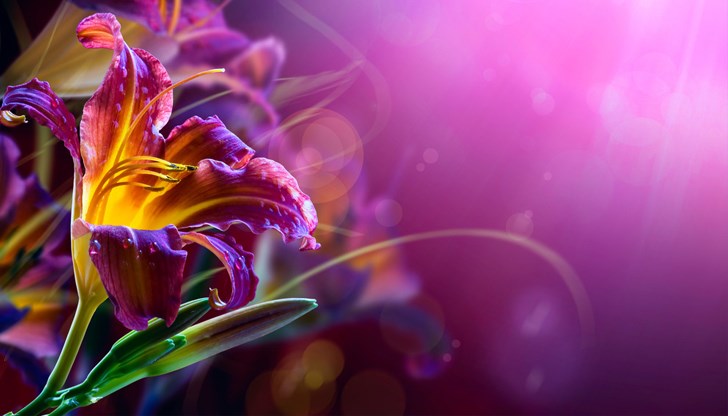 Традиции и обичаи Традиции и обичаи