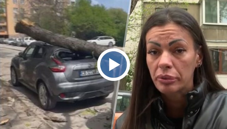 Собственичката: Благодаря на Господ, че аз и синът ми не бяхме в колата