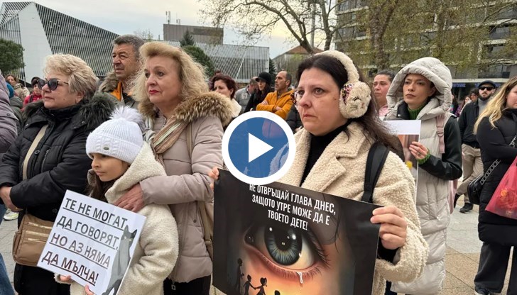 Демонстрантите изразиха своето недоволство от институциите