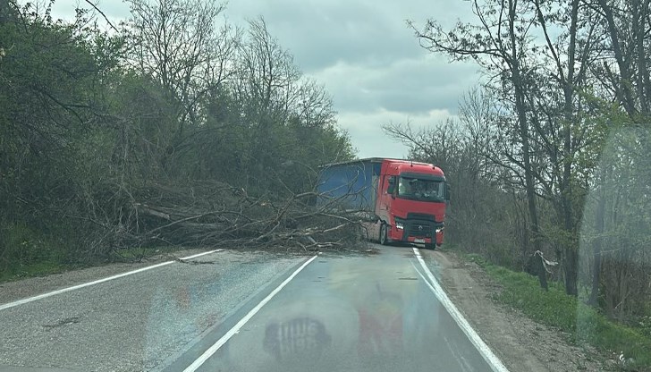 В Русенско вятърът достигна 122 километра в час, създавайки рискова обстановка за шофьорите В Русенско вятърът достигна 122 километра в час, създавайки рискова обстановка за шофьорите