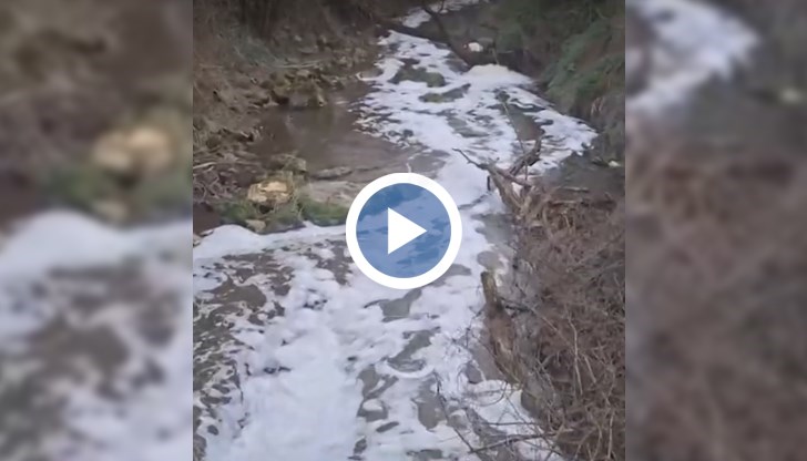 Жълта вода, пяна и остра миризма на оборска тор в защитен природен парк