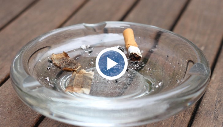 Предложението за 6-месечно затваряне на нарушителите разцепи общественото мнение, експерти и бранша застават на противоположни позиции