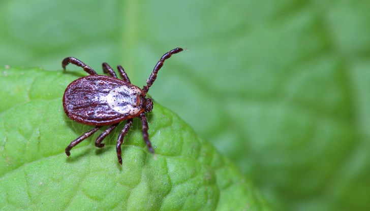 Местните жители трябва да избягват обработените площи Местните жители трябва да избягват обработените площи