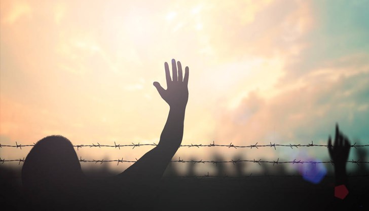 Организацията е прехвърлила между 1000 и 2500 мигранти, взимайки по 3000 евро от всеки от тях