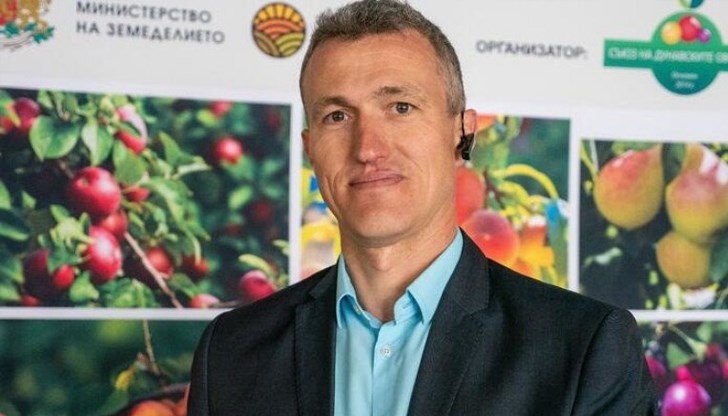 Студът унищожи 100% от реколтата на кайсии в Дунавския регион