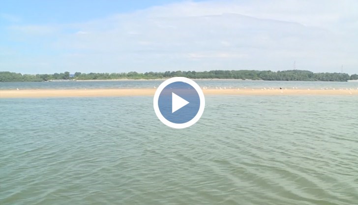 Проект за 230 милиона евро ще решава проблема с ниските води в 12 критични участъка на реката