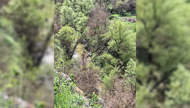 Торове и пестициди са убили рибите в реката край село Пепелина Торове и пестициди са убили рибите в реката край село Пепелина