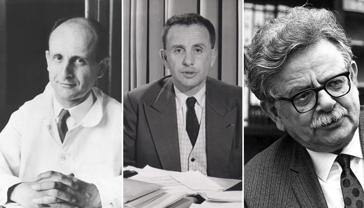 Жорж, Жак и Елиас Канети