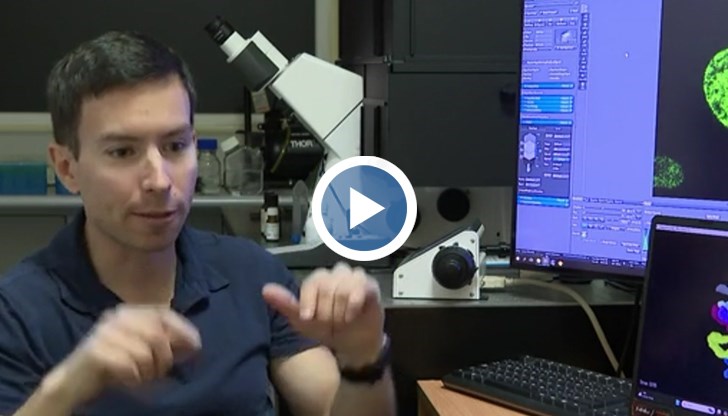 Научен пробив: Български учени разкриват тайните на хромозомите в 3D пространството