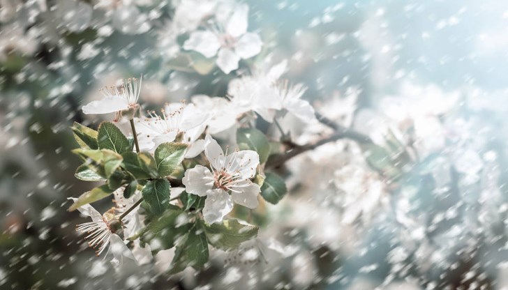 Западен вятър ще съпътства валежите, по-силен в Дунавската равнина Западен вятър ще съпътства валежите, по-силен в Дунавската равнина