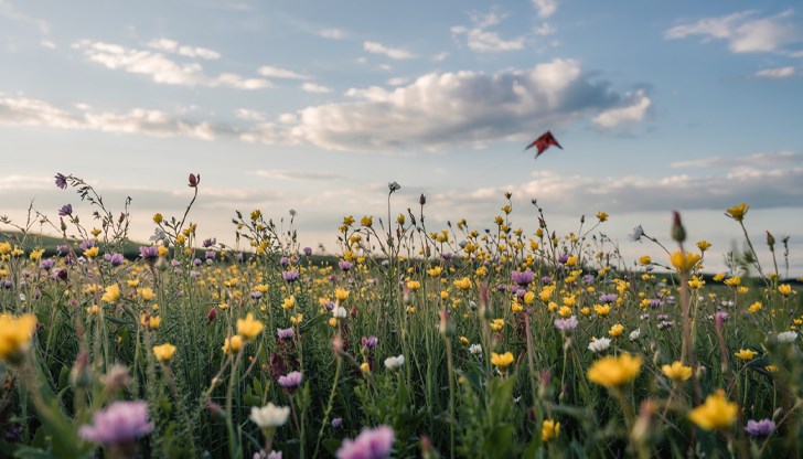 НИМХ: Майските температури в Русе ще скачат до 33 градуса НИМХ: Майските температури в Русе ще скачат до 33 градуса