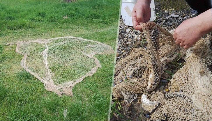 Инспектори от ИАРА хванаха бракониери на река Струма