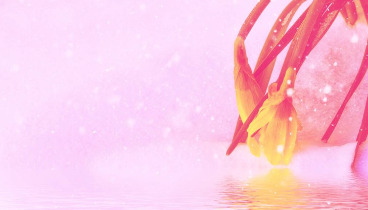 Температурите падат под нулата