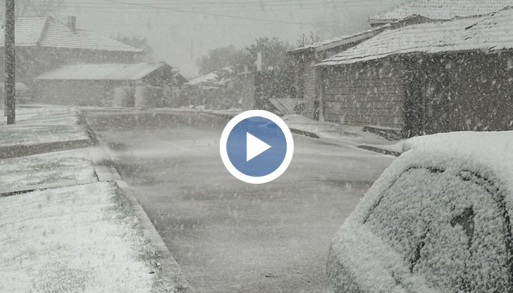 Бурята засегна седем области с паднали дървета и прекъснато движение по пътищата