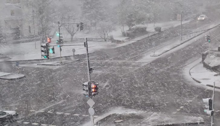 Паднали дървета блокираха входа на Кубрат, властите предупреждават шофьорите за повишено внимание