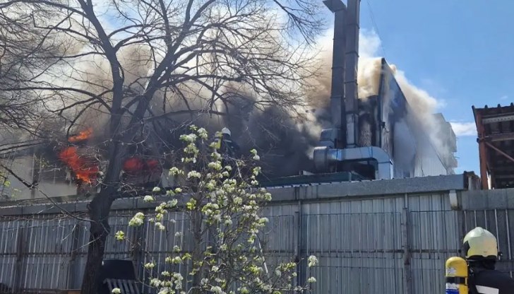 Пожар в хипермаркет "Тарита" вдигна на крак огнеборците в Пазарджик Пожар в хипермаркет "Тарита" вдигна на крак огнеборците в Пазарджик