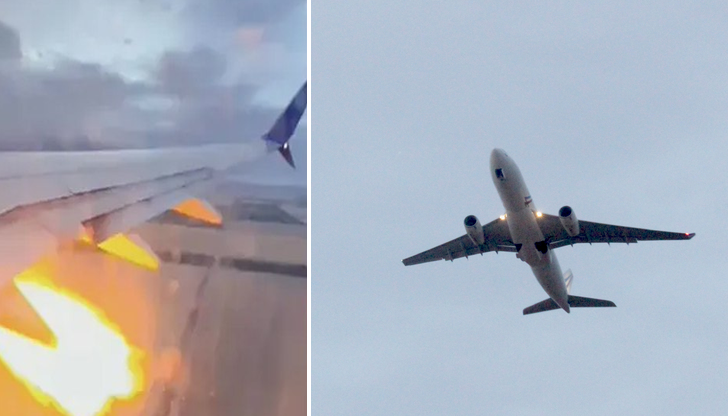 Сблъсъците с дивите животни са сериозен риск за авиациятаСедмица преди