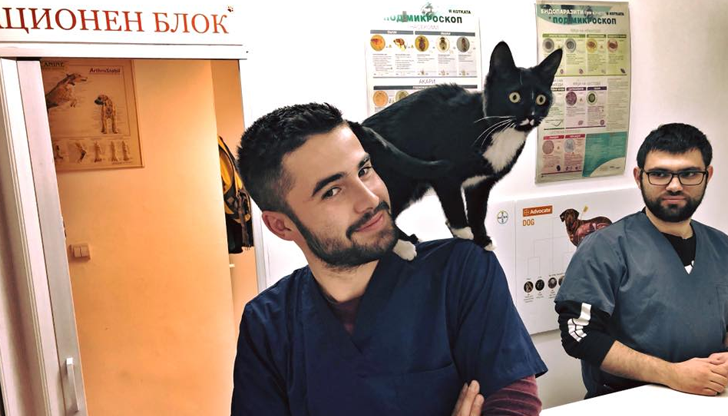 Пролетта е идеалното време да помислим за отговорност към животните