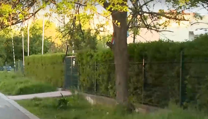 54-годишният извършител с криминално минало е задържан за 24 часаКриминално