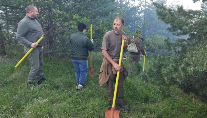 Петнадесет горски служители гасят пожара преди настъпването на нощтаГорски служители
