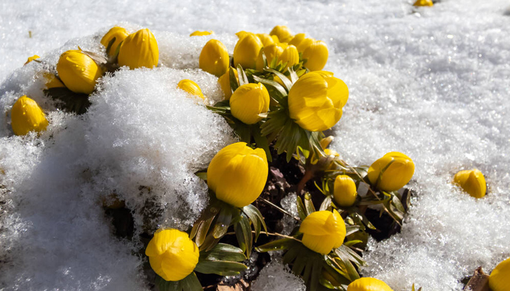 Температурни амплитуди от -5 до 30 градуса в следващите две