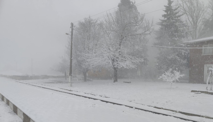 Няколко села в общините Дулово и Алфатар останаха без ток