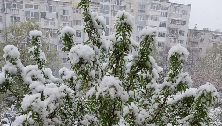 Метеоролозите предупреждават за продължаващи валежи и ниски температуриКрайдунавският град Русе