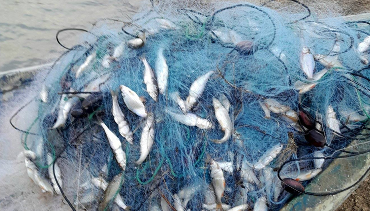 Незаконните съоръжения бяха иззети за унищожаване, а рибата върната във