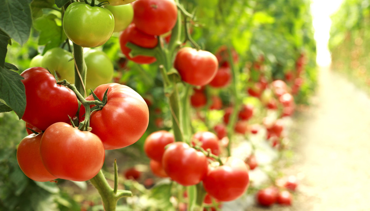 Според учените един робот може да замени шестима работнициКитайски учени