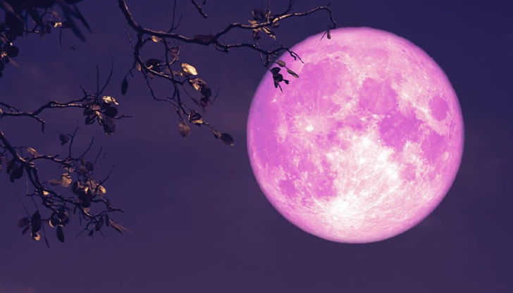 Явлението ще предложи уникална гледка в нощта на 12 срещу