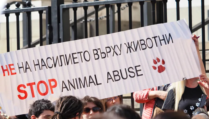 По-строги присъди за мъчители на животни - до 12 години