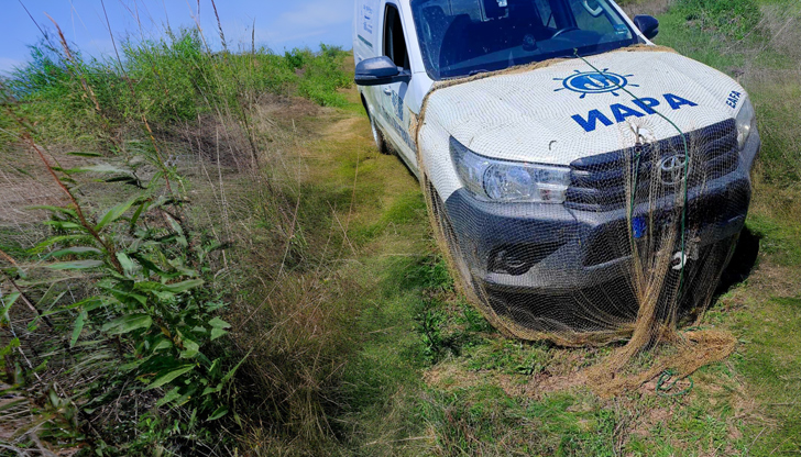 Инспекторите съставиха два акта и върнаха уловената риба обратно във